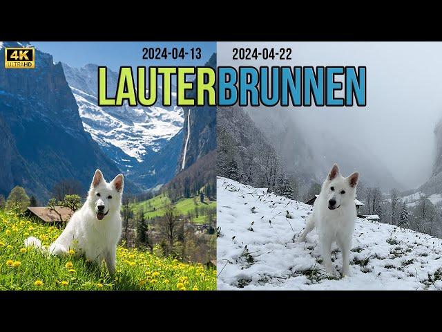 Lauterbrunnen  Switzerland - from spring to winter again 4K