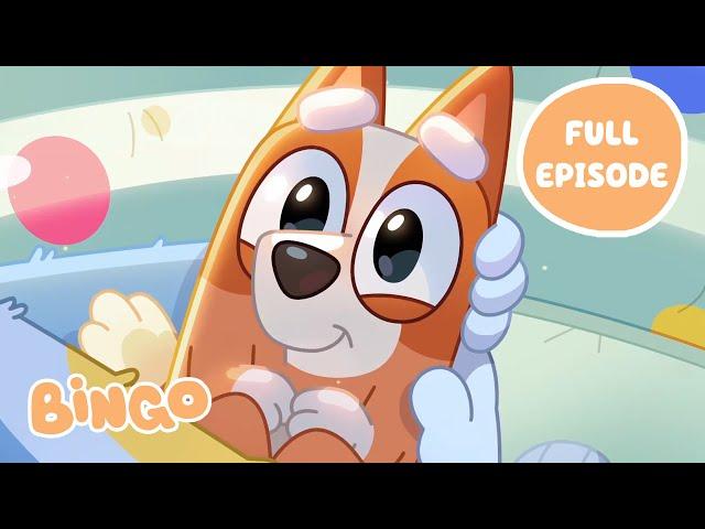 Baby Bingo   | Dad Baby - Bluey Full Episode | Bingo - Official Channel