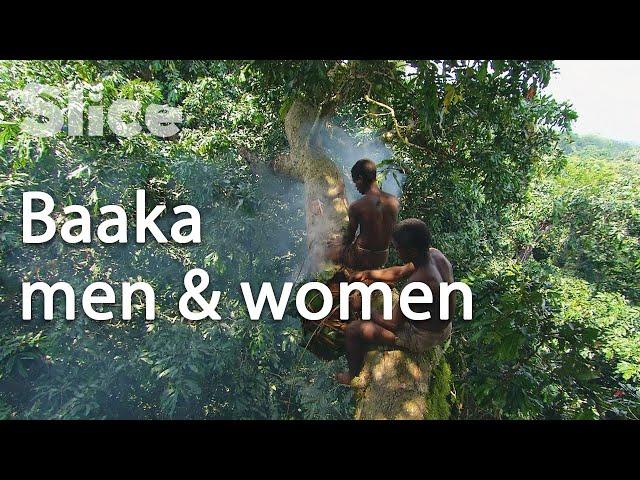 The life of Central African Republic Pygmies | SLICE