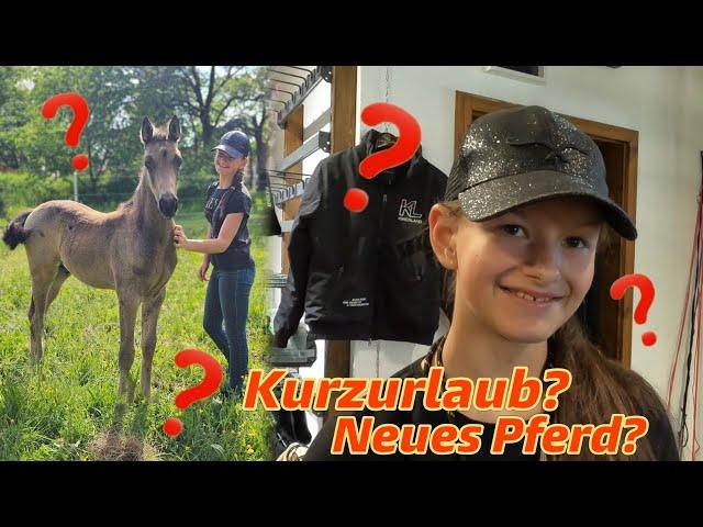 Kurzurlaub? Neues Pferd? - Was machen wir im Harz?