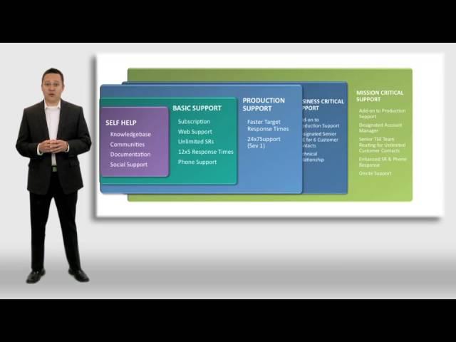 VMware Technical Support Offerings