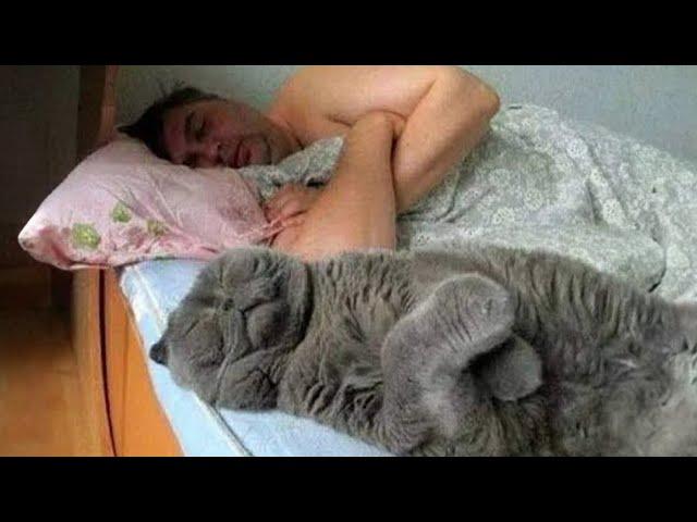 Some Cats Are Born To Be Your Best Twins! Funny Cat and Human Video 