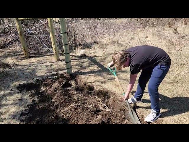 Finishing touches to our fence at Hogg Haven Family Farms!