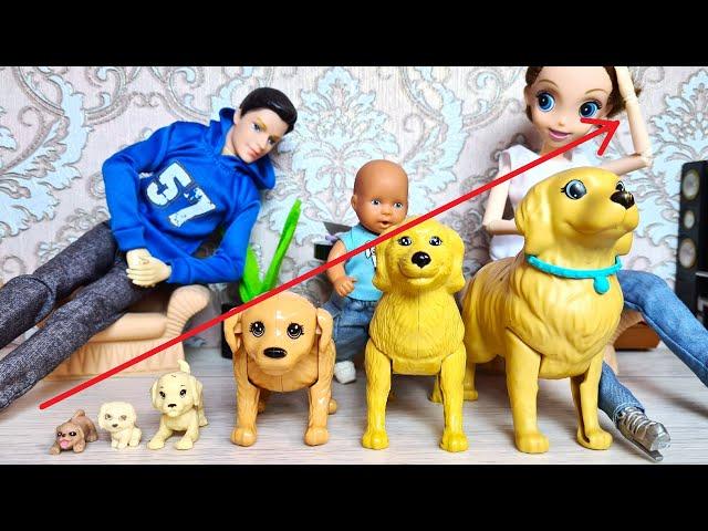 HOW THE DOG GROWS Katya and Max are a cheerful family! Funny Barbie dolls and LOL DARINELKA TV