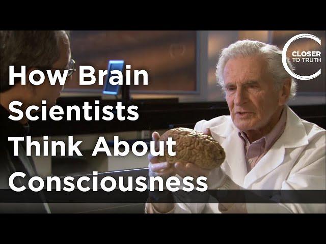 Arnold B. Scheibel - How Brain Scientists Think About Consciousness