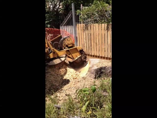 Stump Grinding with Rayco Super RG50