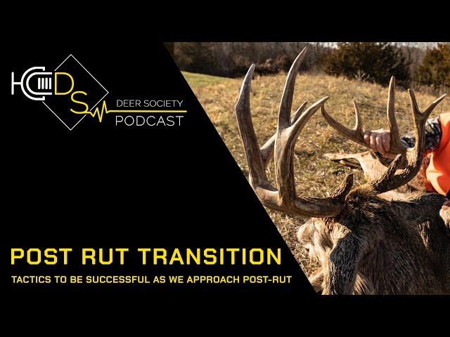 POST-RUT & Sanctuaries | WHERE to Hunt NOW?