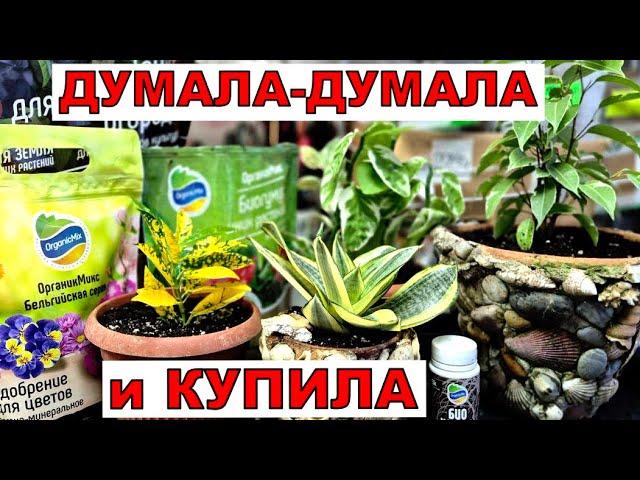 Цена просто зашкаливает! Теперь только самое лучшее моим растениям