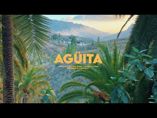 Agüita | Instrumental Dancehall | Bizzey Type Beat 2020