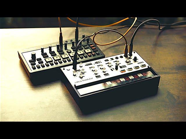 Roland P-6  &  Korg Volca modular - soundscape ~ maple tree ~