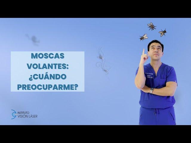 MOSCAS VOLANTES CUANDO PREOCUPARME