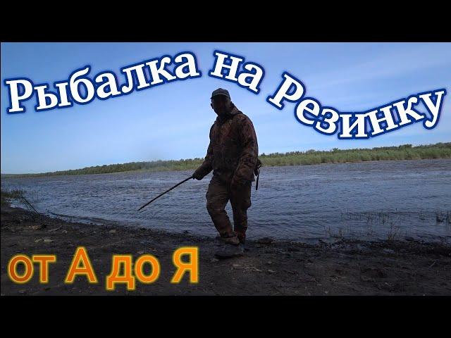 Рыбалка на резинку на реке Дон 2023! Ловля сазана и карася