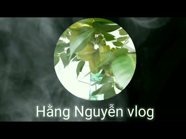 Hằng Nguyễn vlog - Giới thiệu kênh