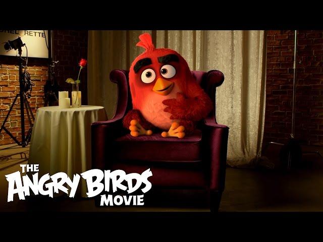 The Angry Birds Movie - TV Spot: Bachelorette Auditions