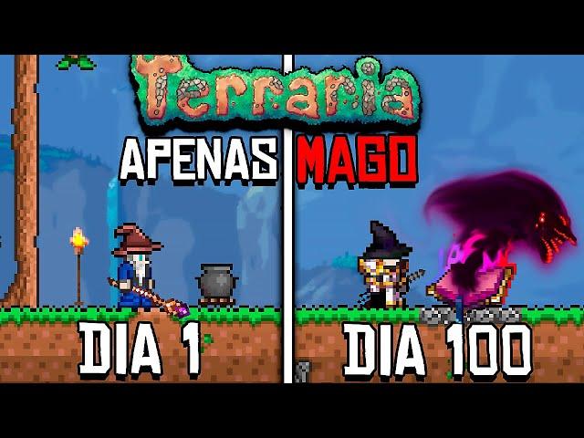 PASSEI 100 DIAS NO TERRARIA APENAS DE MAGE (CALAMITY)