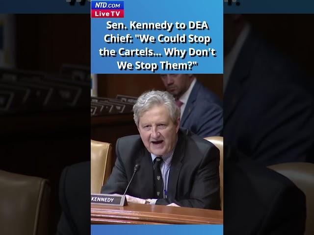 Sen. Kennedy to DEA Chief: "We Could Stop the Cartels... Why Don't We Stop Them?"