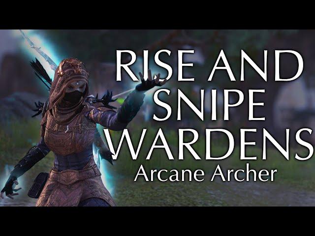 This One Bar Bow Build is WILD | Elder Scrolls Online Warden