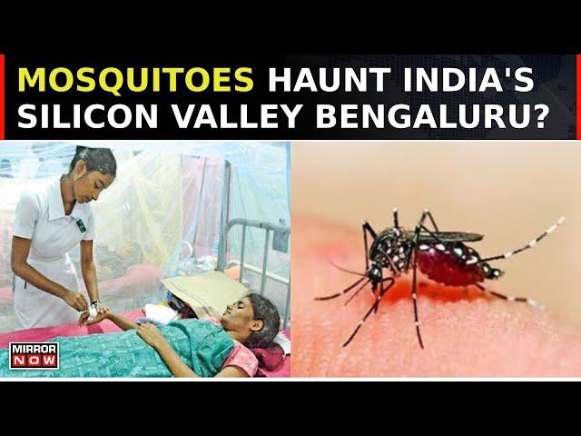 Mosquitoes Haunts India's Silicon Valley, Bengaluru People In Grift Of Dengue? | South Speaks