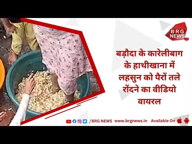 Video of garlic being trampled under feet at Hathikhana in Baroda's Karelibagh goes viral