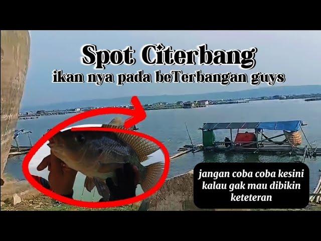 MANCING JATILUHUR TERBARU//Eps16/SPOT CITERBANG.