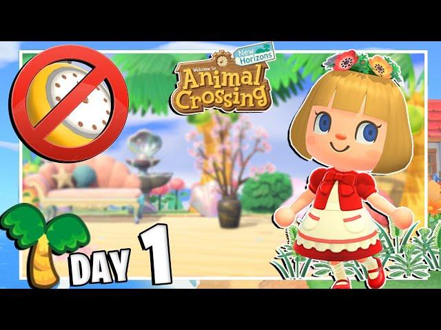 RICOMINCIO Animal Crossing SENZA FARE TIME TRAVEL - GIORNO 1