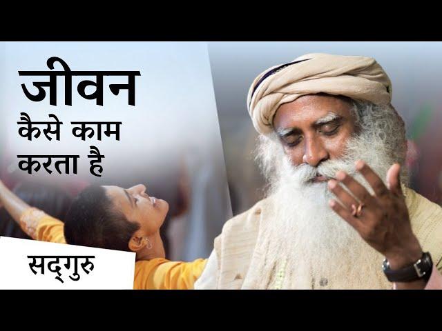 जीवन कैसे काम करता है? | Getting a Taste of Life | Sadhguru Hindi