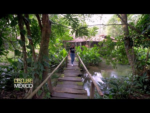 Chiapas Finca Valle Escondido Descubre México