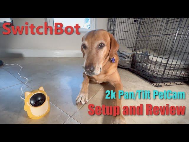 Keep an eye on your pets with SwitchBot Pan/Tilt 2k wireless pet cam