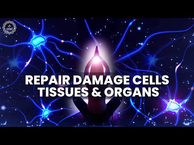 Full Body Healing & Regeneration | Repair Damage Cells Tissues And Organs | 432 Hz + 528hz | Music