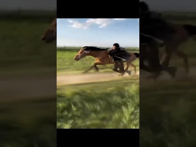 Omg he is flying 🫶 #horse #horses #funny #shortvideo #shorts #arabic #dubai #us #animal #animal