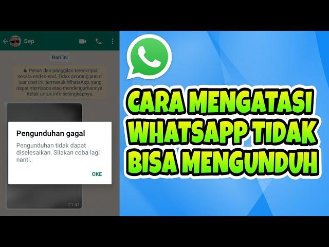 Cara Mengatasi WhatsApp Tidak Bisa Mengunduh Foto / Video