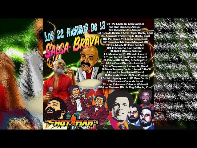 Los 22 hierros de la Salsa Brava Vieja Hotman Dj