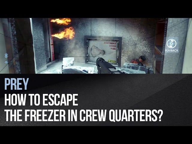 Prey - How to escape the freezer in Crew Quarters?