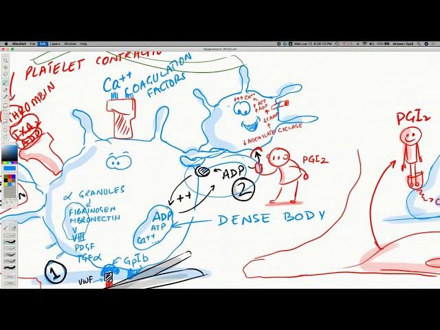 COVID-19 Insights: Epoprostenol (for hypercoagulability or clotting)