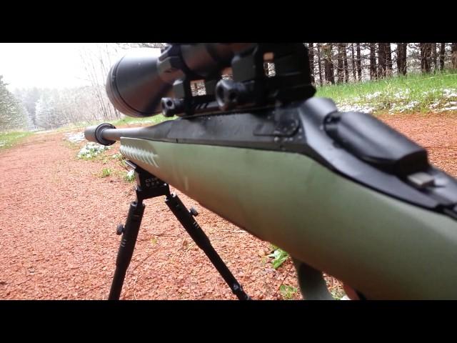 Ruger american predator 308 suppressed