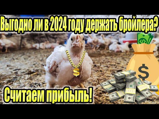 Выгодно ли в 2024 году держать бройлера?