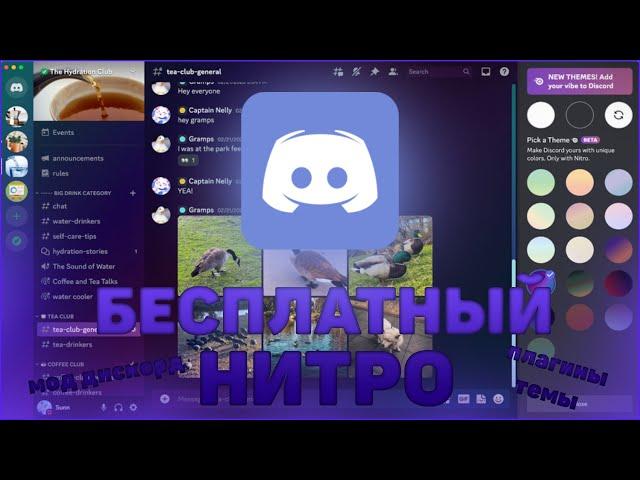 БЕСПЛАТНЫЙ НИТРО, ПЛАГИНЫ И ТЕМЫ ДЛЯ ДИСКОРДА - Vencord