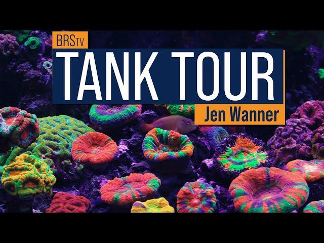 BRStv Reef Tank Tour of Jen's Scoly Dominated Red Sea Reefer XXL 750 & Waterbox 105.4 Mixed Reef.