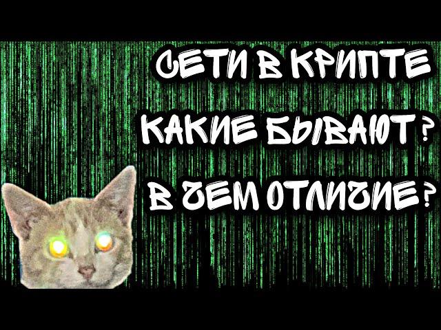 Что такое Сети в Крипте?  |  Мосты в Крипте  |  Что такое GAS?