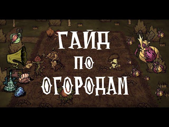 Полный гайд по ОГОРОДУ в Don't Starve Together!