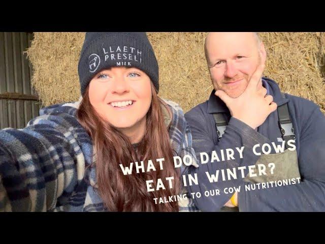 What do DAIRY COWS eat in WINTER? An EXPERT talks.