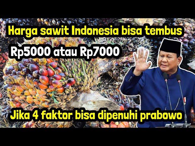 Harga sawit indonesia bisa lebih Rp5000 jika 4 faktor ini bisa terjadi