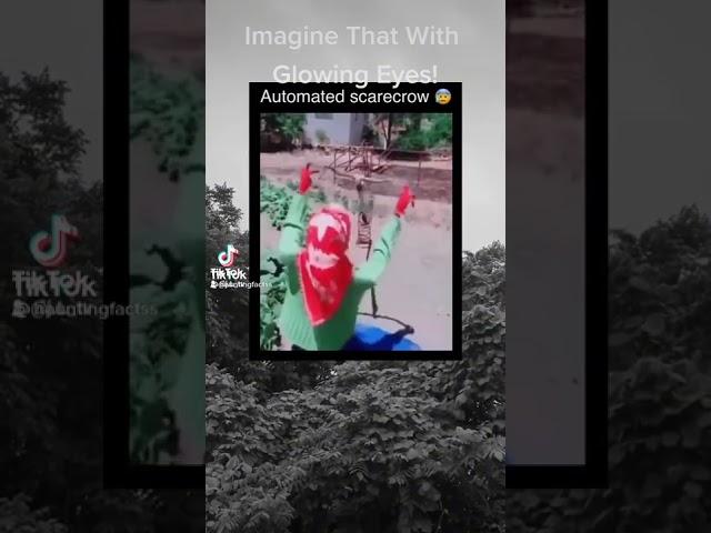 Creepy Scarecrow! I Love It!#youtube #tiktok #4u #foryou #fypシ #fyp #4up #facebook #scary #horror