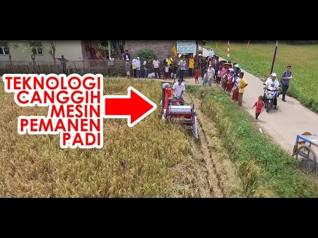 Teknologi Canggih!!! Mesin Panen Padi / Mini Combine Harvester FIRMAN