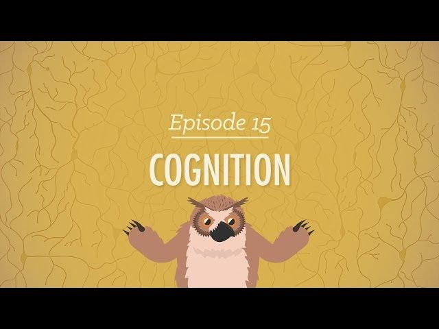 Cognition - How Your Mind Can Amaze and Betray You: Crash Course Psychology #15