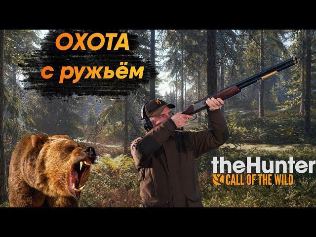 theHunter Call of the Wild | ГАЙД Охота с ружьём