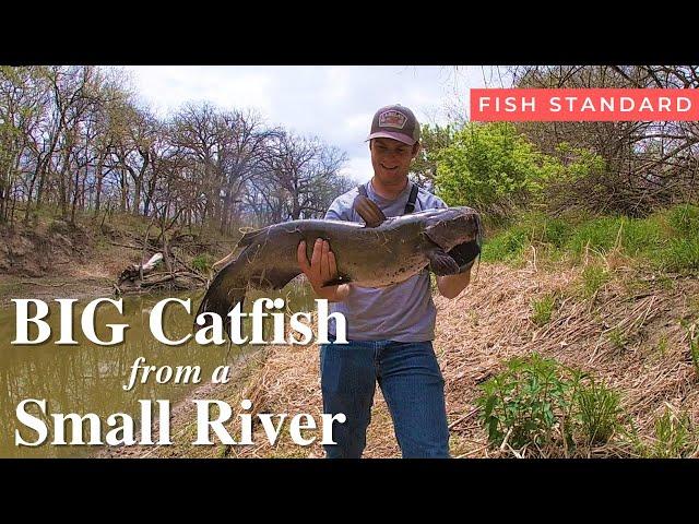 Small River Catfishing - Catching a BIG Channel Catfish from the Bank