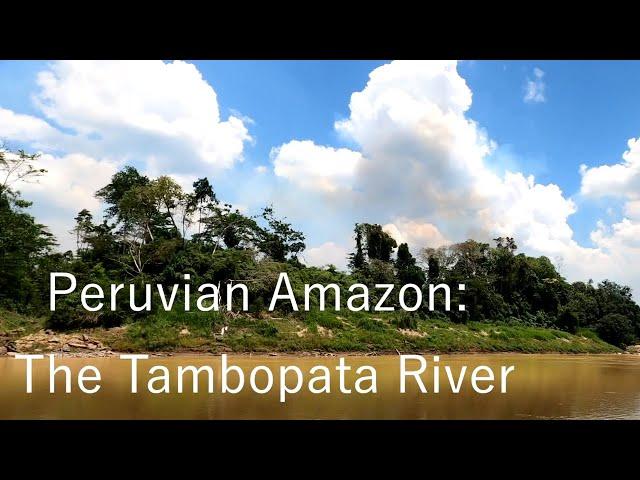 OutBirding - Peruvian Amazon: The Tambopata River (Full Episode)