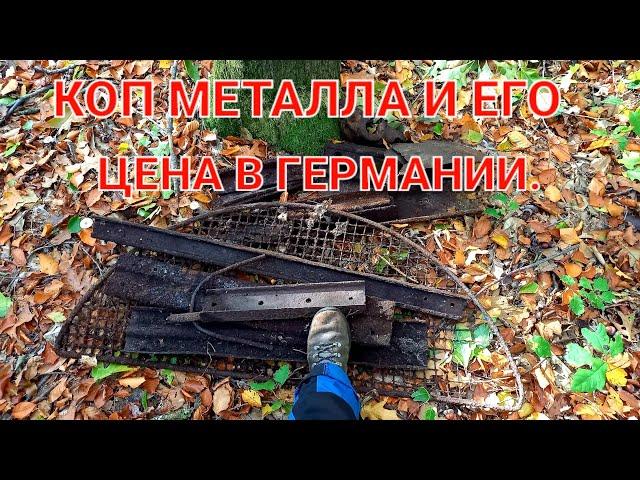 КОП металла в лесу. Цена металла в Германии.