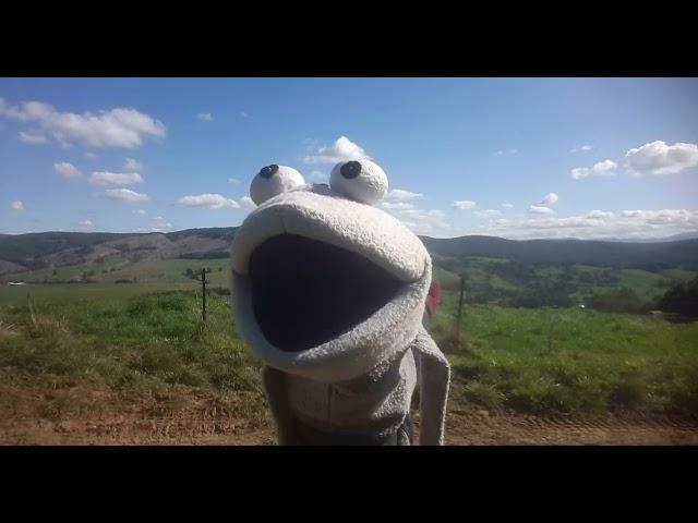 Frogo In Search Of...Cows